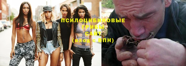 кокс Баксан